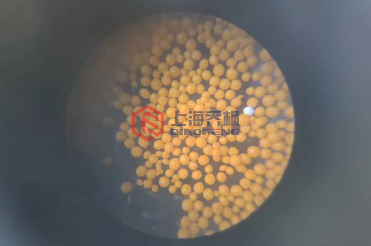 草莓视频成人APP都有哪些問題需要處理？